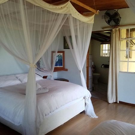 Bushwhacked Barberton Hotel ห้อง รูปภาพ