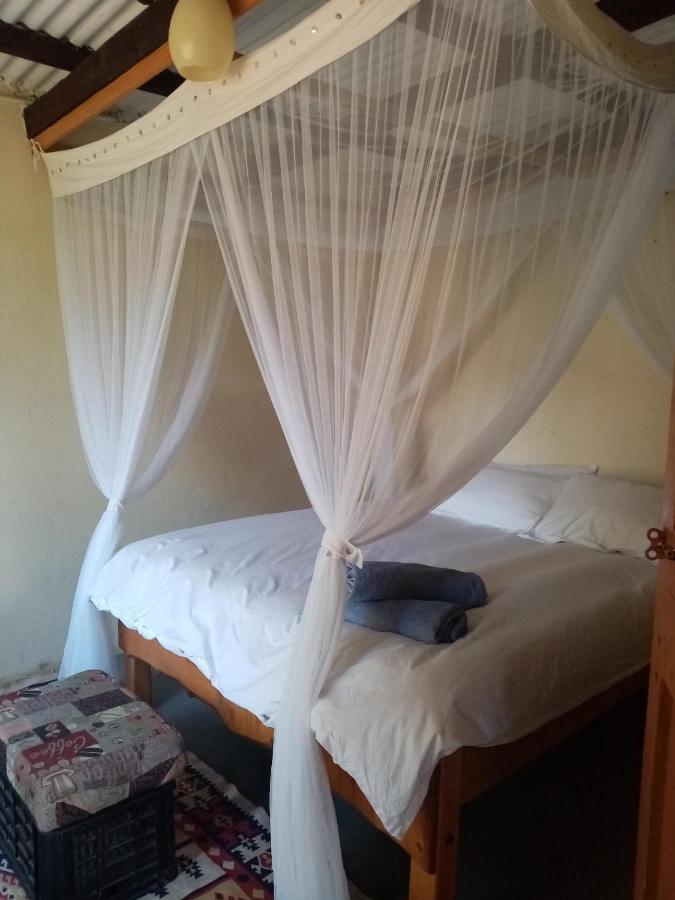 Bushwhacked Barberton Hotel ภายนอก รูปภาพ