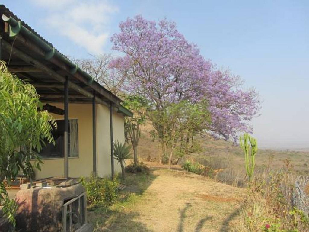 Bushwhacked Barberton Hotel ภายนอก รูปภาพ