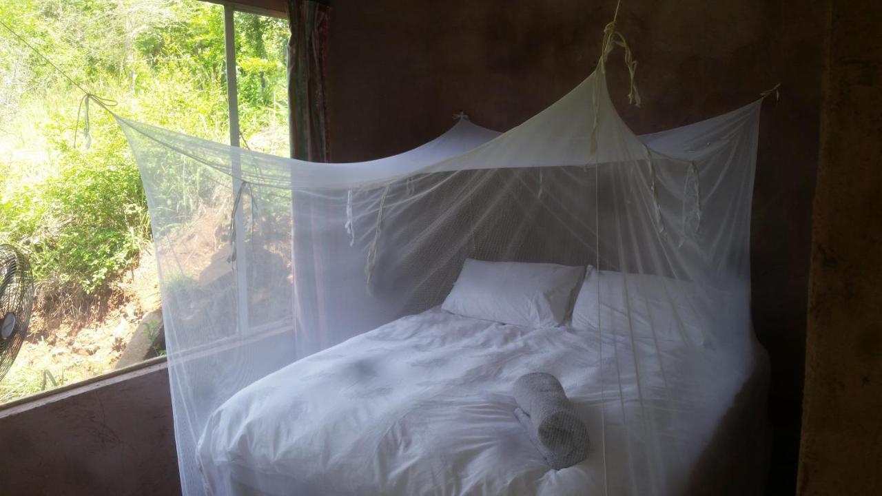 Bushwhacked Barberton Hotel ภายนอก รูปภาพ